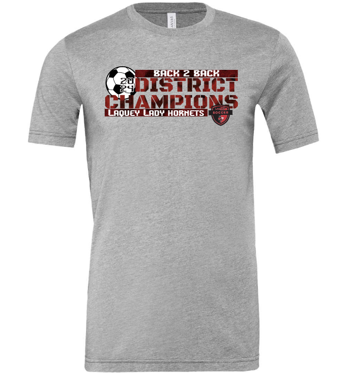 2024 BACK 2 BACK Lady Hornet District CHAMPIONSHIP shirts