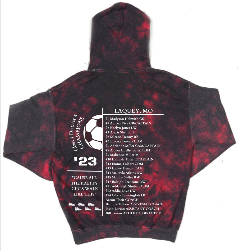 2023 Lady Hornet District CHAMPIONSHIP Hoodies